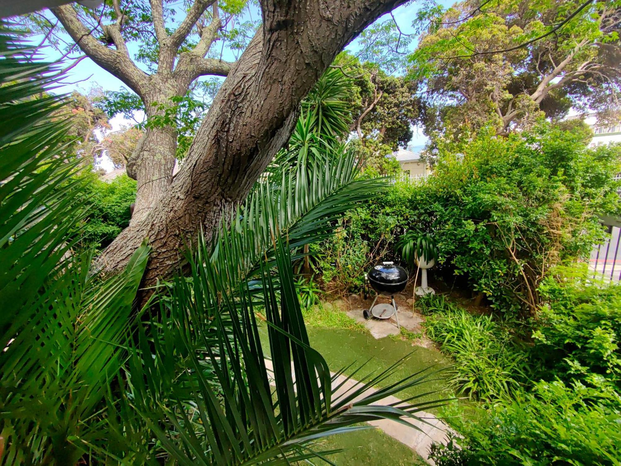 Swiss Cottage Guest House Cape Town Ngoại thất bức ảnh